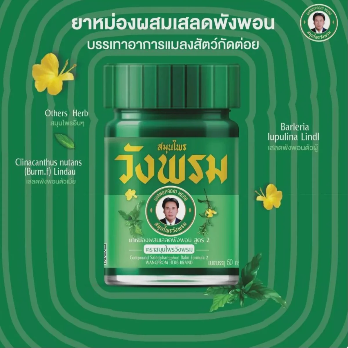 Baume Thai Wang Prom aux herbes, aux plantes
